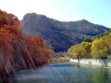 管家婆黑白马报图库，山东硅藻土